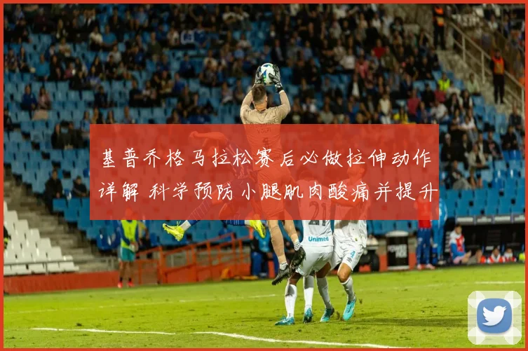 基普乔格马拉松赛后必做拉伸动作详解 科学预防小腿肌肉酸痛并提升恢复效率
