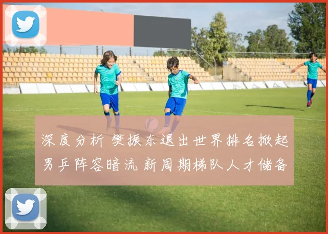 深度分析 樊振东退出世界排名掀起男乒阵容暗流 新周期梯队人才储备的难题与路径