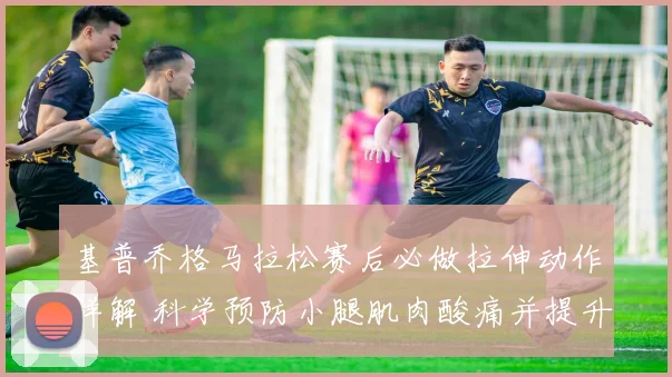 基普乔格马拉松赛后必做拉伸动作详解 科学预防小腿肌肉酸痛并提升恢复效率